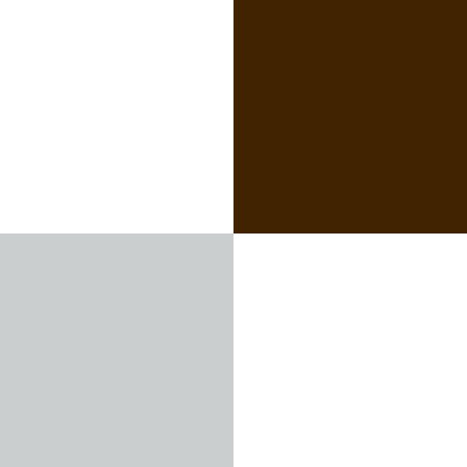 icon2 mct reno (1)